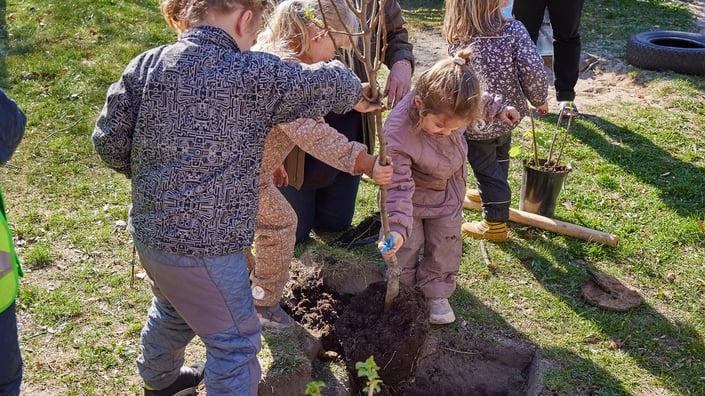 ROSE POULTRY AND PLANT ET TRÆ IN CLOSE COOPERATION FOR THE BENEFIT OF THE ENVIRONMENT AND CLIMATE